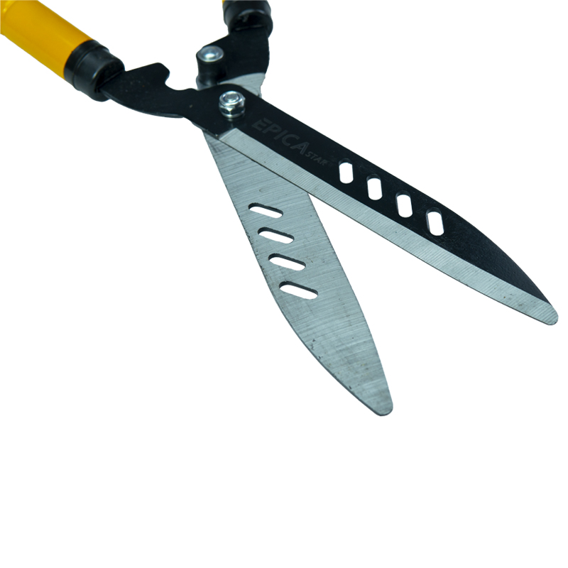  Shears 